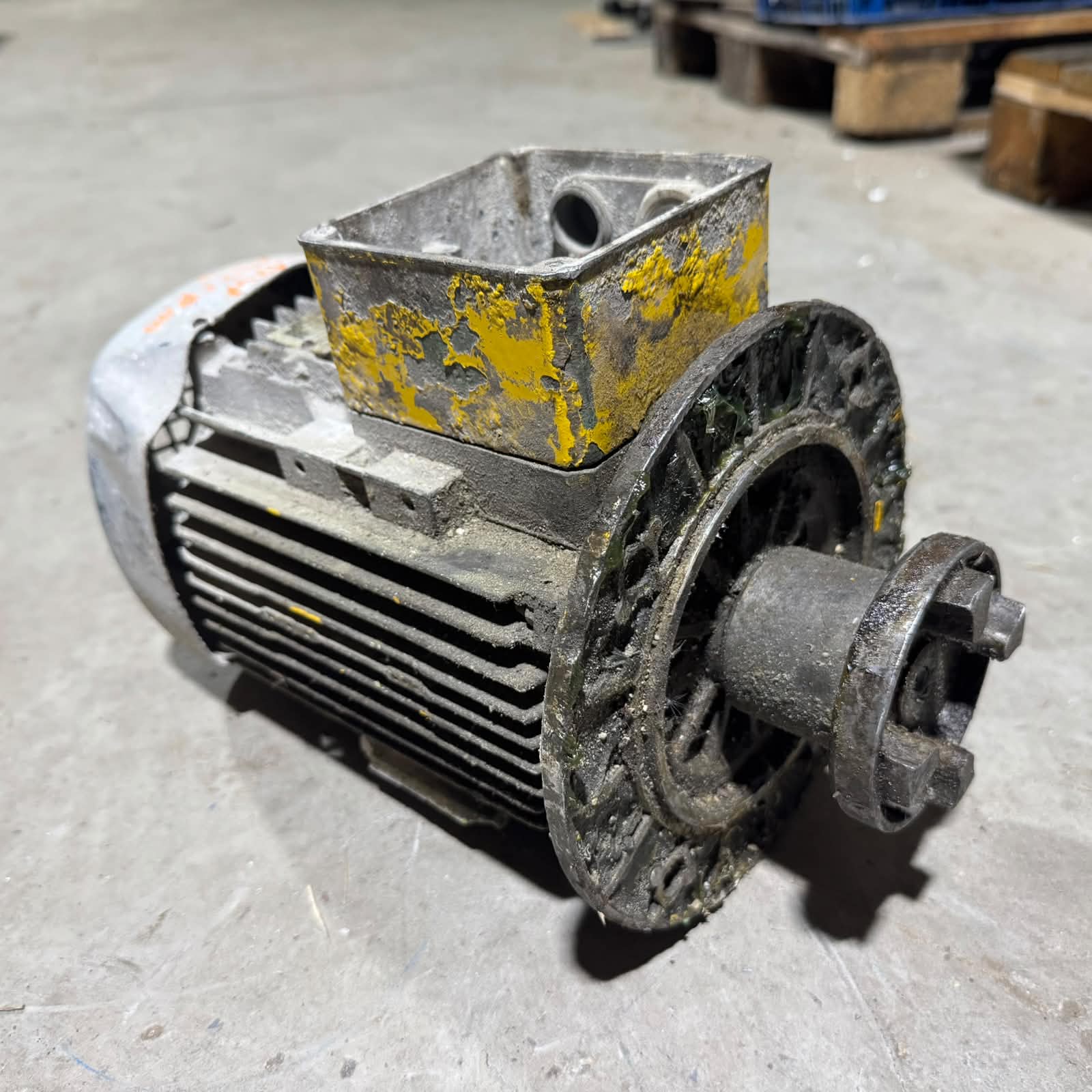 WhatsApp Image 2026-06-17 at 09.14.58 (2) Motor electric trifazat WATT, 1.1kW 1500rpm - imagine 1